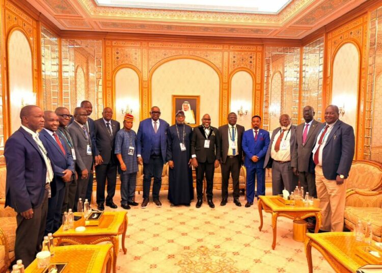 Alake Re-Elected To Lead African Minerals Strategy Group 1 WhatsApp Image 2026 01 19 at 9.34.43 AM