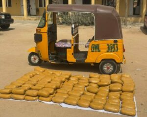 PICTORIAL: Police Arrest 4 Suspects, Recover Suspected Cannabis Sativa In Kano 4 WhatsApp Image 2026 01 27 at 18.56.25