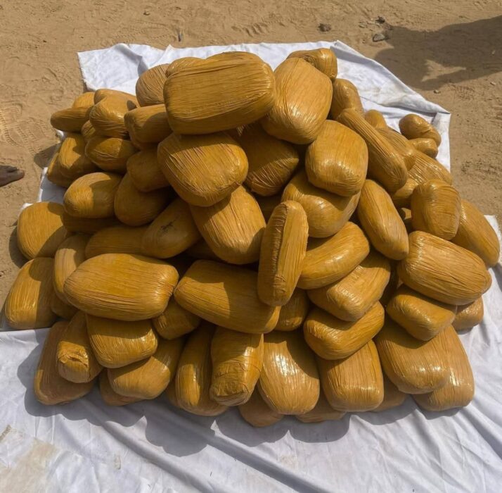 PICTORIAL: Police Arrest 4 Suspects, Recover Suspected Cannabis Sativa In Kano