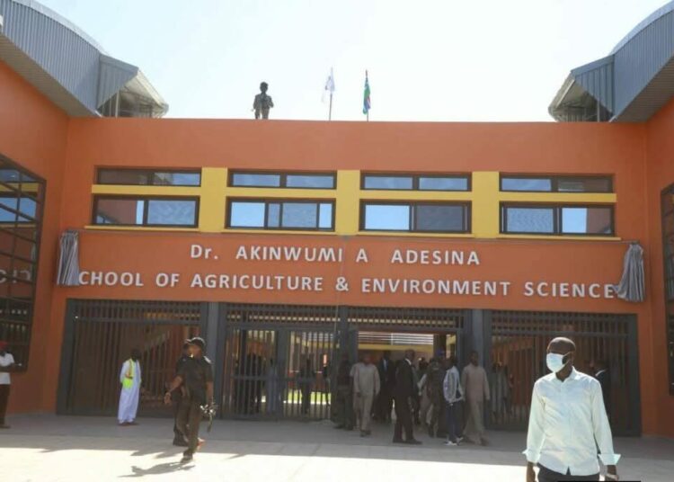 The Gambia Varsity Renames Agriculture School After Ex-AfDB President Adesina 1 akinwunmi university