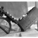 THINGS REMEMBERED: Charcoal-powered Pressing Iron: Not Yet A Relic