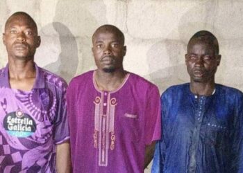 Troops Arrest 3 ISWAP Recruitment Agents In Borno