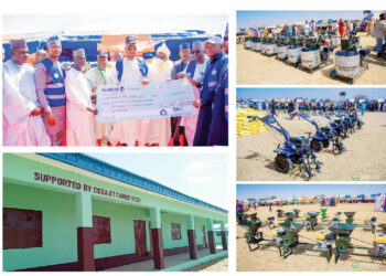 NG-CARE Sparks Economic Revival Across Katsina