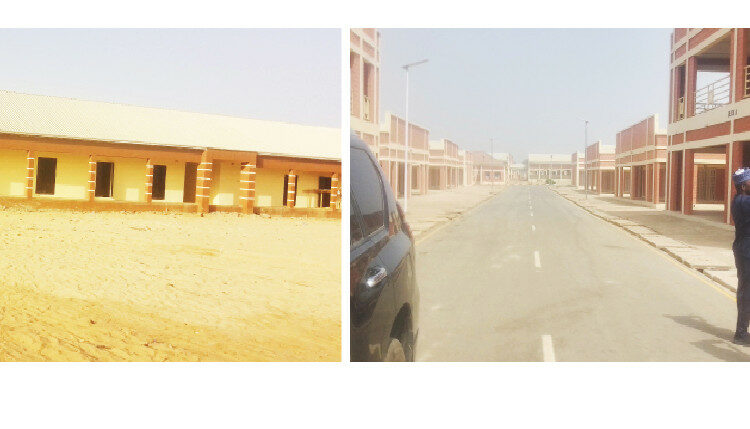 Inside Yobe’s Sesame Factory 1 yobe market 1