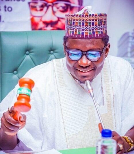 2026 Budget: Reps Endorse Tinubu’s ₦203.6bn Allocation For Sports 1 2026 budget