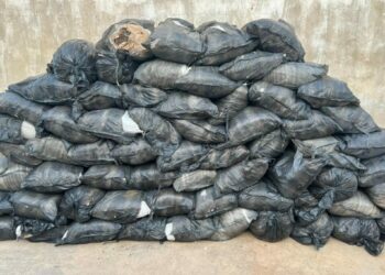 NDLEA Seizes 64 Bags Of Cannabis Concealed In Cement-laden Trailer In Kano