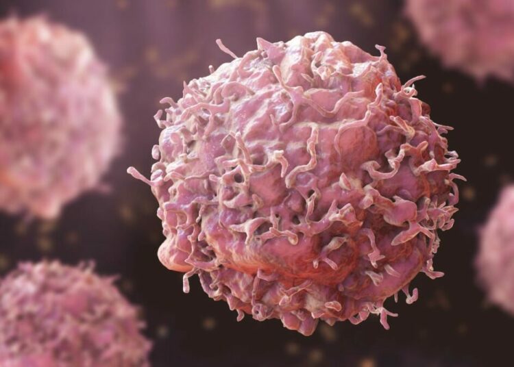 Nearly 4 In 10 Global Cancer Cases Linked To Preventable Causes – WHO 1 Cancer