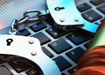 ‘Cybercrime Law Now Tool To Muzzle Free Speech’, NBA President Warns