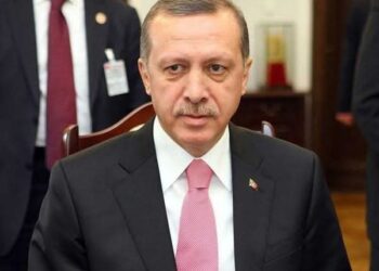 Erdogan Postpones UAE Visit Over Health Concerns Of Host President