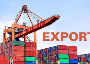 Nigeria Accounts for 55% Global Pangolin Scale Seizures – Group