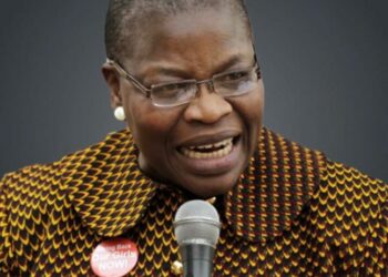 2027: Nigerians Won’t Accept Non-Credible Elections, Says Ezekwesili