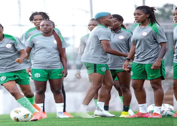 International Friendly: Super Falcons Ready For Cameroon Clash 1 Falcons
