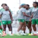 International Friendly: Super Falcons Ready For Cameroon Clash 5 International Friendly: Super Falcons Ready For Cameroon Clash