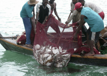 Nigeria Piloting Regional Fishing Vessel Register In Gulf of Guinea