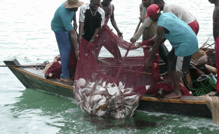 Nigeria Piloting Regional Fishing Vessel Register In Gulf of Guinea 1 Fishing