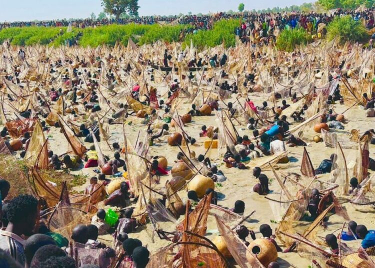 Attending Fishing Festival Amid Escalating Terror Shows Wrong Priorities,
ADC Tells Tinubu 1 Fishing Festival