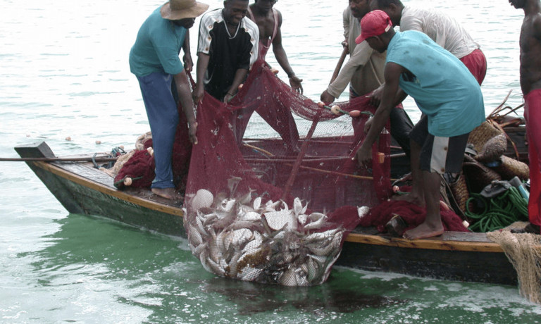 Nigeria Piloting Regional Fishing Vessel Register In Gulf of Guinea