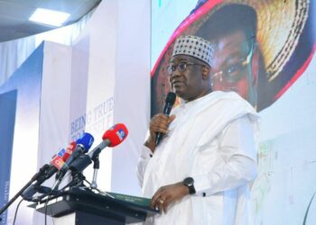 Nigeria’s GDP Surpassed China’s When We Ignored IMF — Olawepo-Hashim