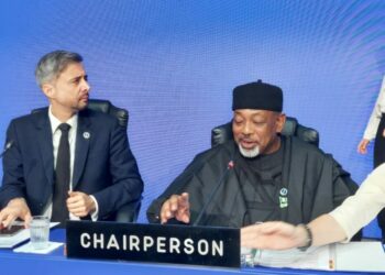 Nigeria Takes Global Agric Spotlight As Minister Leads IFAD Governing Council
