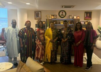 Presidency Plans Support System For Soldiers’ Wives, Widows