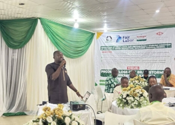 Association Moves Against Child Labour In Kaduna Ginger Production