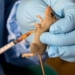 Benue Deploys 23 Officers To Curb Lassa Fever Surge 5 Benue Deploys 23 Officers To Curb Lassa Fever Surge
