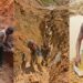 Nigeria Targets $700bn Mineral Reserves Amid Africa Mining Boom 5 Nigeria Targets $700bn Mineral Reserves Amid Africa Mining Boom