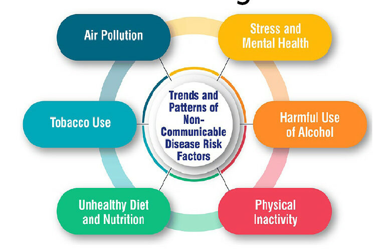 Nigeria’s Rising NCDs Burden And The Call For Urgent Action 1 NCD