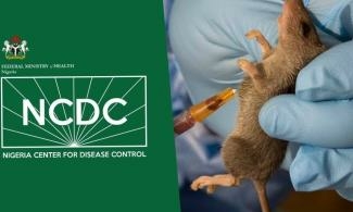 NCDC Confirms 167 Lassa Fever Deaths Across Nigeria 1 NCDC AND Lassa 1