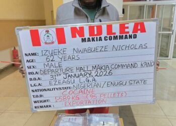 NDLEA Arrests China-bound Auto Parts Dealer With 95 Wraps Of Cocaine