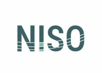 NISO Warns of 4-day Power Cut as Gas Shutdown Hits Major Plants