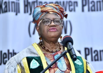 The Metaphor in Ngozi Okonjo Iweala‘s Visit To Zaria