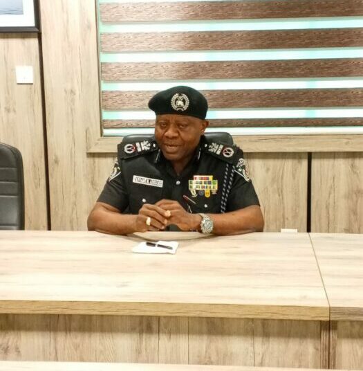 PSC Promotes AIG Fayoade To DIG 1 PMAN