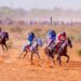 Tinubu’s Horse Ramadan Emerges Winner At Renewed Hope International Race 5 Tinubu’s Horse Ramadan Emerges Winner At Renewed Hope International Race
