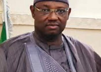 2027: Nigerians Will Decide Your Fate, Not Defectors To APC, Shinkafi Tells Tinubu