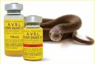 Snakebite: Senate Pushes For Safe, Affordable Antivenoms Across Hospitals