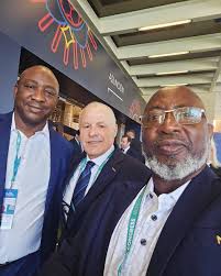 Canada-Based Nigerian Journalist Exposes Corruption In NFF Youth Team Appointments