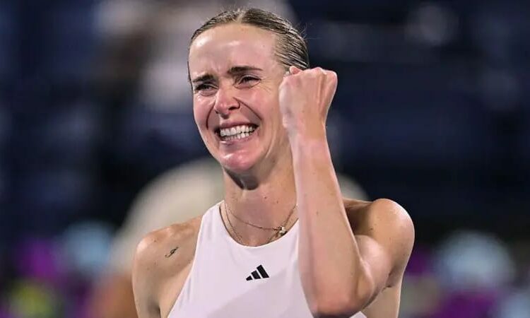 Svitolina Battles Past Gauff To Reach Dubai Final; Alcaraz Continues Winning Streak 1 Svitolina
