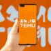 Data Protection Commission Orders Probe Of Temu Over Alleged Violation
