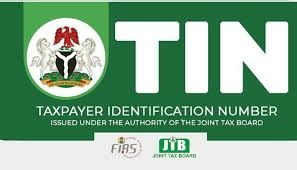 Taxpayers Hail New Tax ID Portal As Reform Rollout Gains Momentum 1 TIN