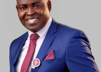 Governor Mbah Using Enugu Funds Prudently – ALGON Deputy Chair