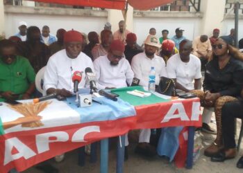 Group Commends Uzodimma For Achieving 2nd Highest APC Registration