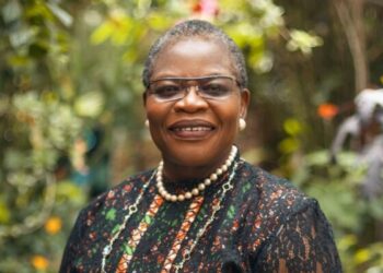 Public Memo To: Nigerian Senate, Senators, And The Political Class At Large