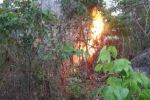 PICTORIAL: Troops Overrun Terrorist Camp, Recover Arms In Kogi 7 WhatsApp Image 2026 02 11 at 12.13.07