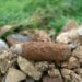 French Hospital Evacuated After Man Shows Up With World War I Shell In His Rectum
