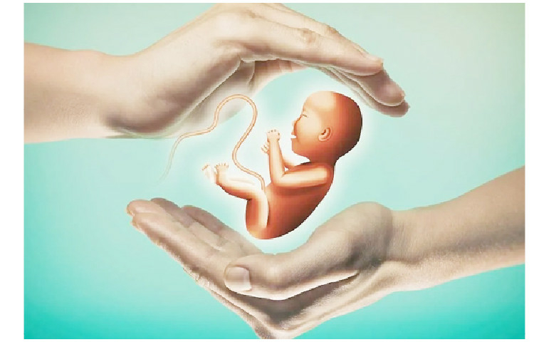 Cancer Survivors And The Fight To Preserve Fertility 1 cancer survivor