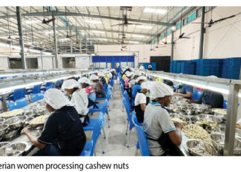 Expanding Nigeria’s Agro-Processing Potential Through UK-backed Funding