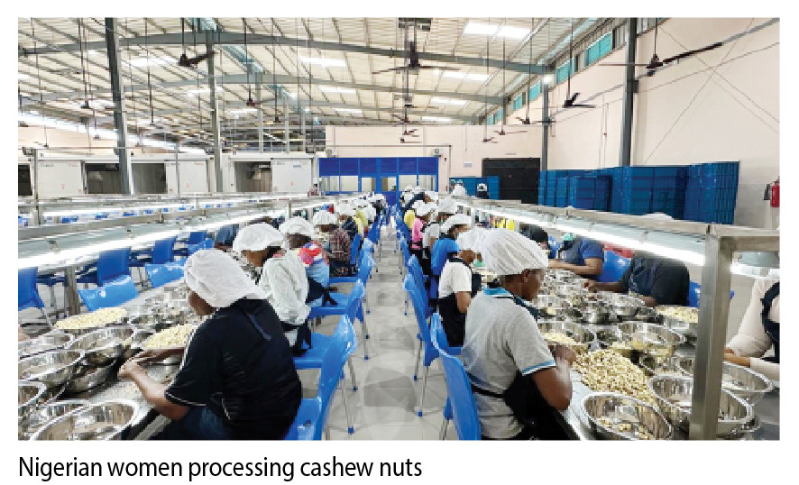 Expanding Nigeria’s Agro-Processing Potential Through UK-backed Funding