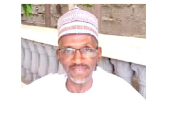 Why  APC , NNPP May Lose  Kano  Elections In 2027 – BUK Don