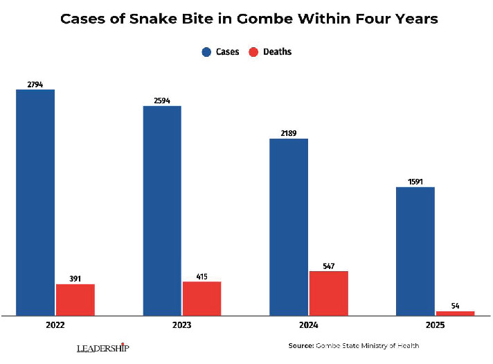 Deadly Venom: How Gombe’s Snakebite Crisis Is Overwhelming The Poor 2 gombe snake bite